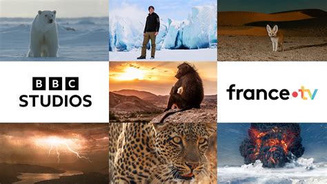 bbc sotwe|BBC Studios & France Télévisions To Co.